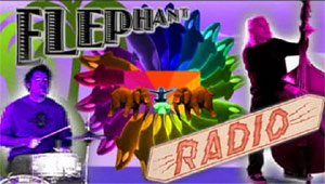 Elephant Radio